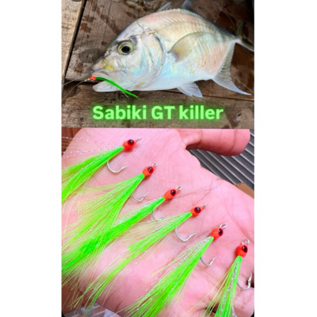 Sabiki micro casting carolina rig/sabiki jigging (2 pcs) Mata Kail ...