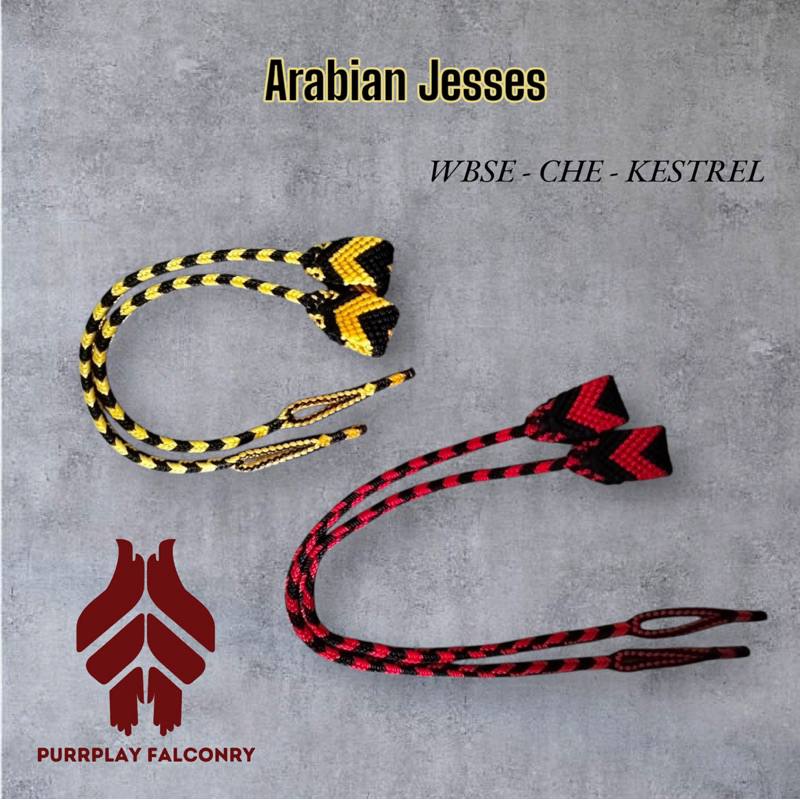 Arabian Jesse | Jessy's Arabian Anklet | Bird's Foot Tie | Arabian Jess ...