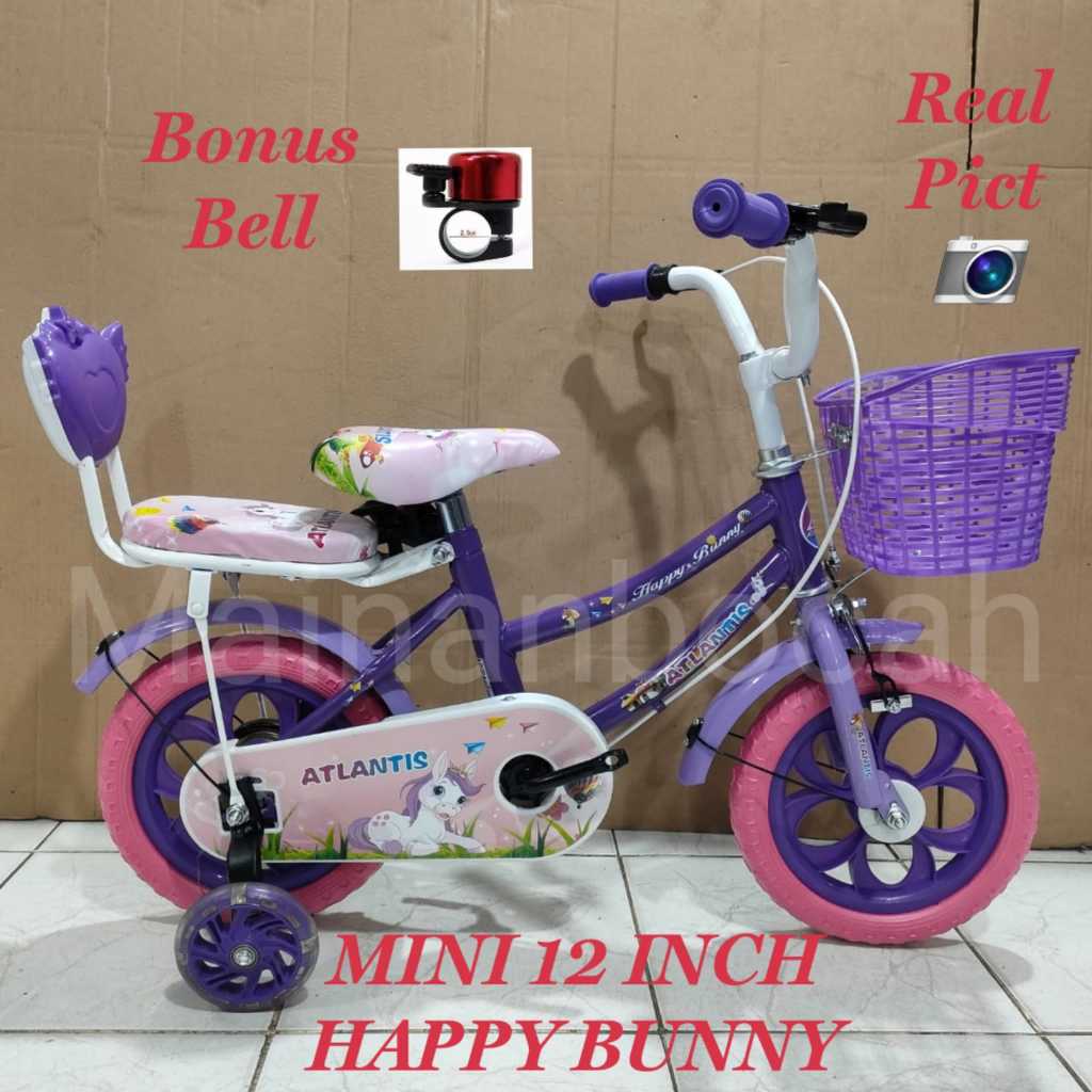 Mini 12 inch Velion Unicorn Mini Bike Velion Unicorn 12 inch HAPPY ...