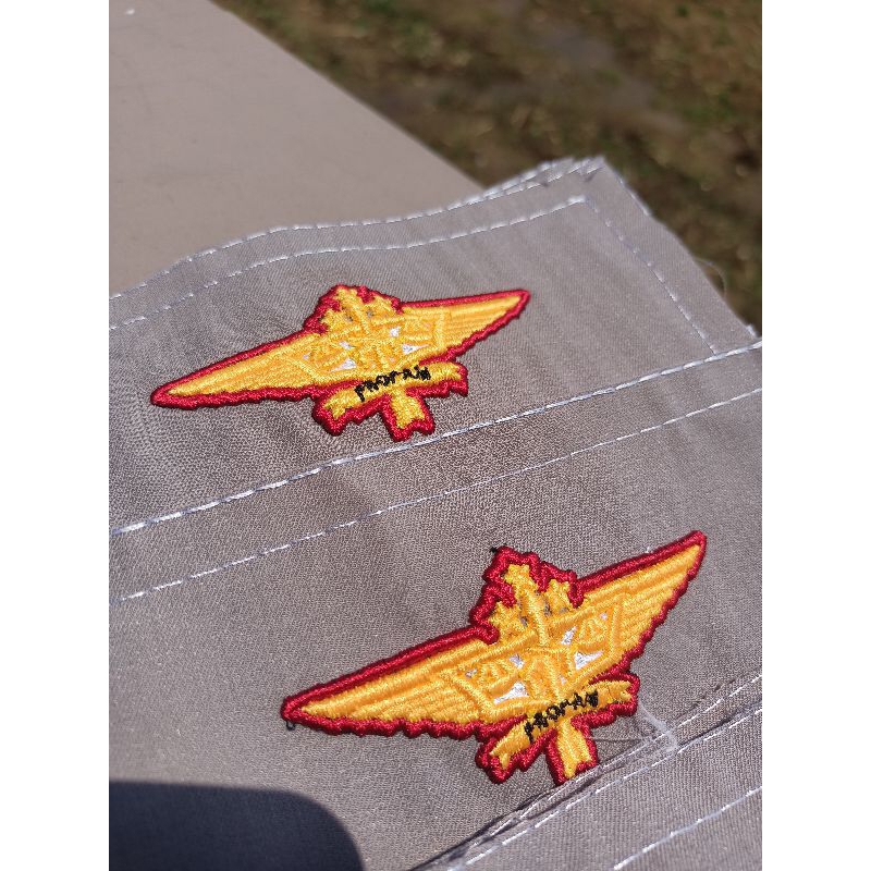 Latest 3D embossed wing propam embroidery | PDL's newest wing propam ...