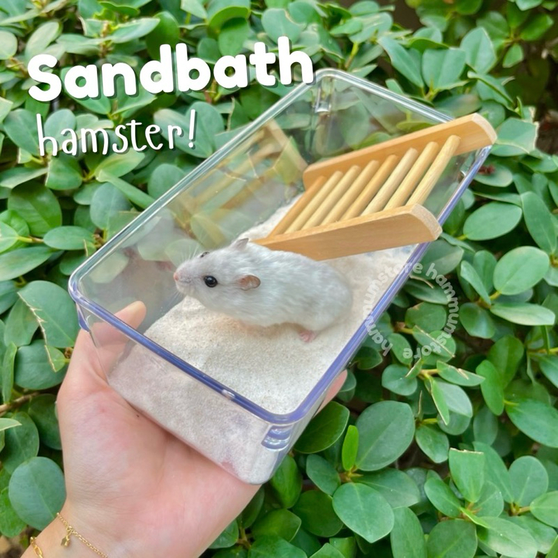 View of Hamster Toilet Size S | Hamster Acrylic Sand Tub Small | Hamster Bath ...