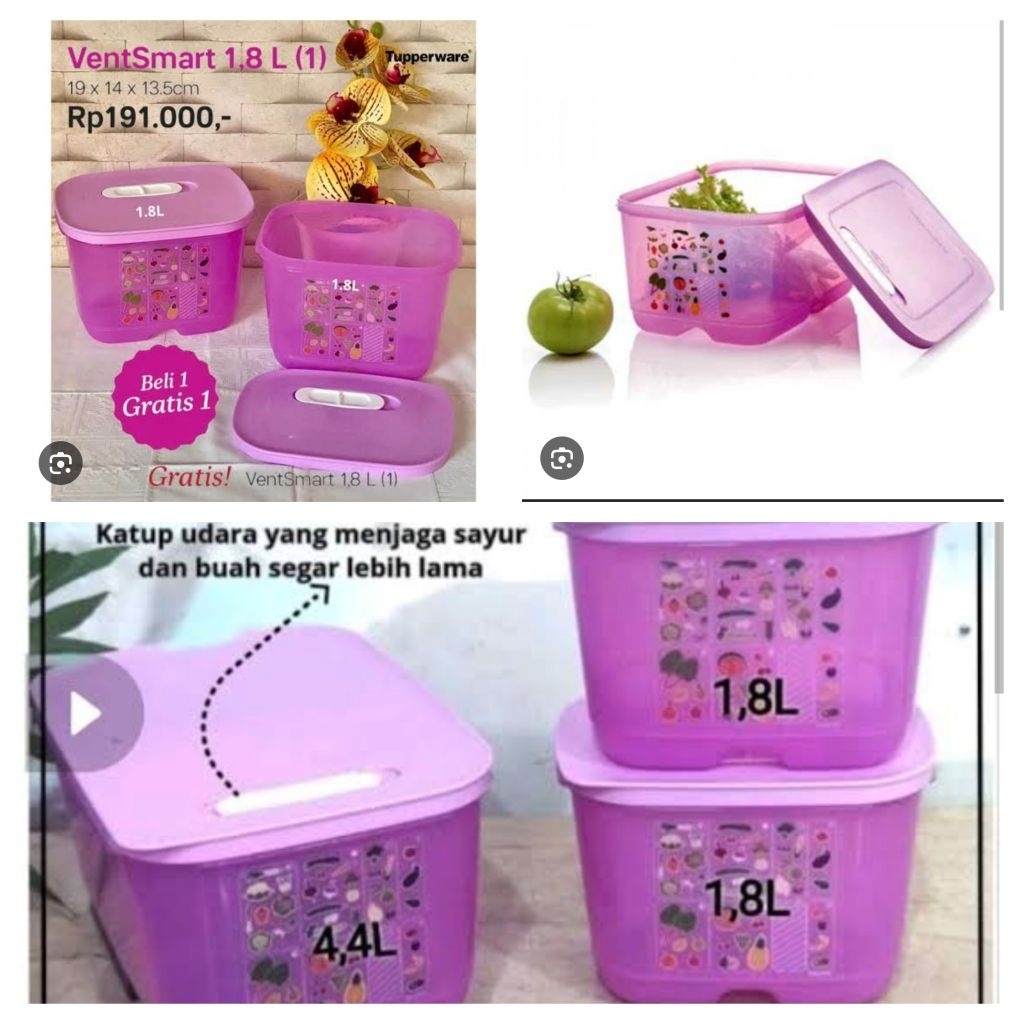 Ventsmart Tupperware Vegetable and fruit container in the refrigerator ...