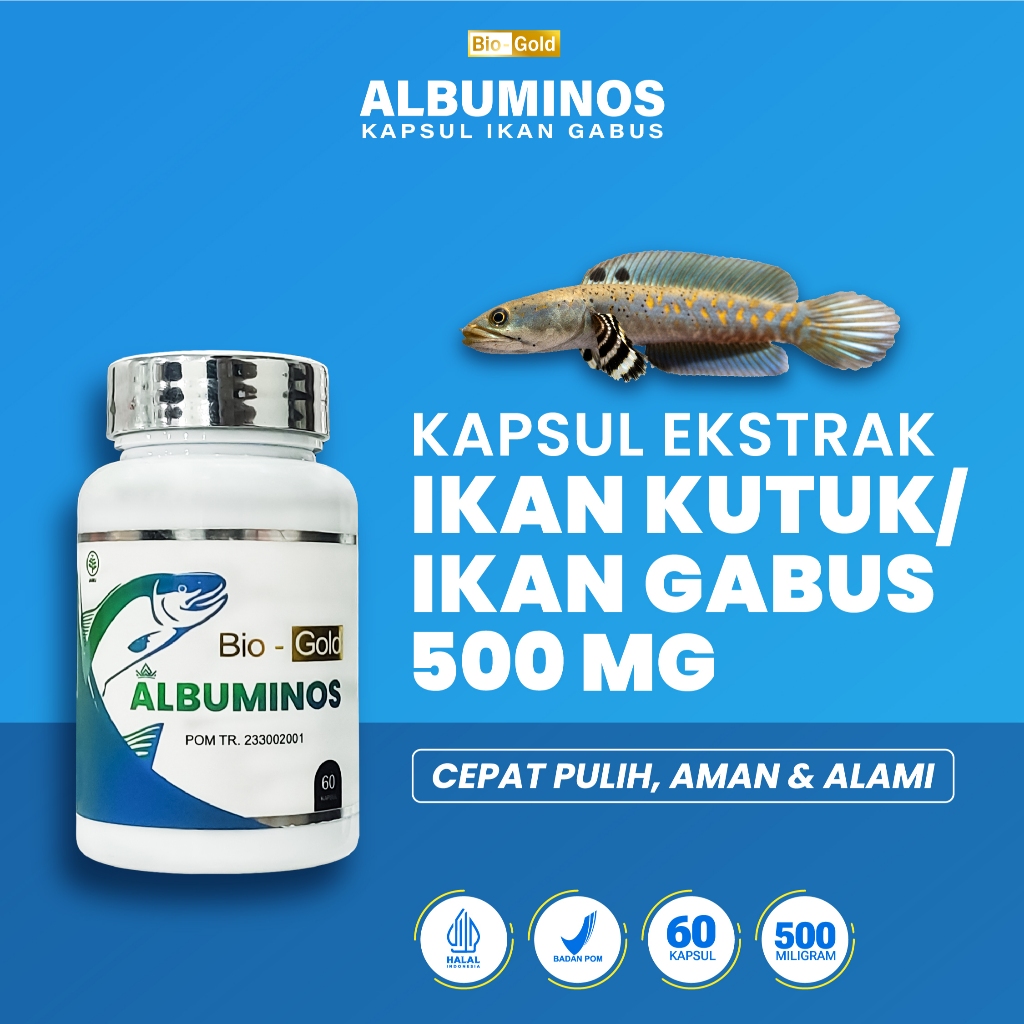 ALBUMINOS - Contains 60 Capsules Cursed Sari Snakehead Fish Albumin ...