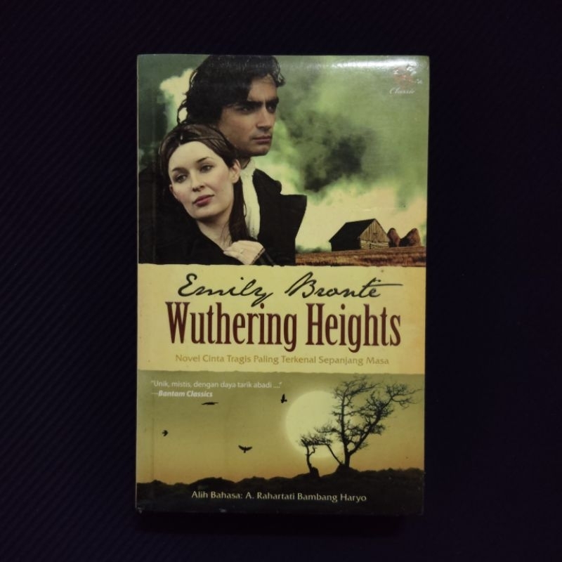 Wuthering Heights (Vintage Classics Bronte Series) - Emily Brontë - Foto 12