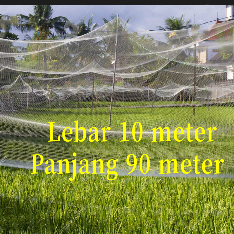 Bird net, rice net, sparrow net, rice field net with bonus rope ...