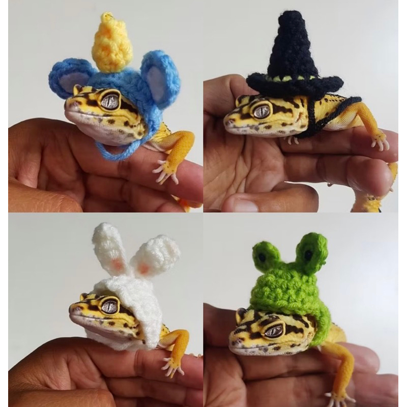 gecko - Prices and Promotions - Jul 2026 | Shopee Malaysia