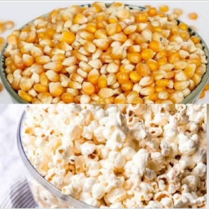 Popcorn corn pop corn Raw corn Seeds 500G | Shopee Malaysia