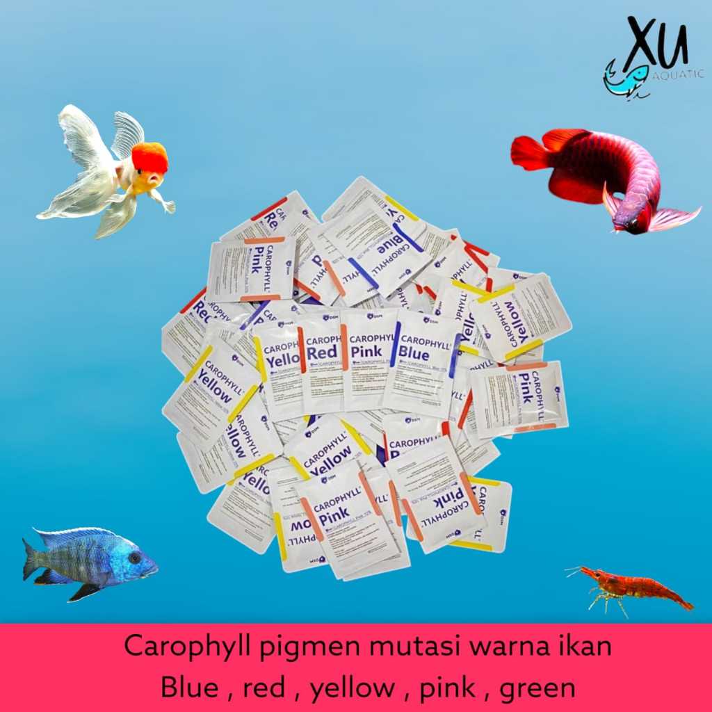 Blue Yellow Pink Red Fish Color Mutationpigmen Fish medicine/ for ...