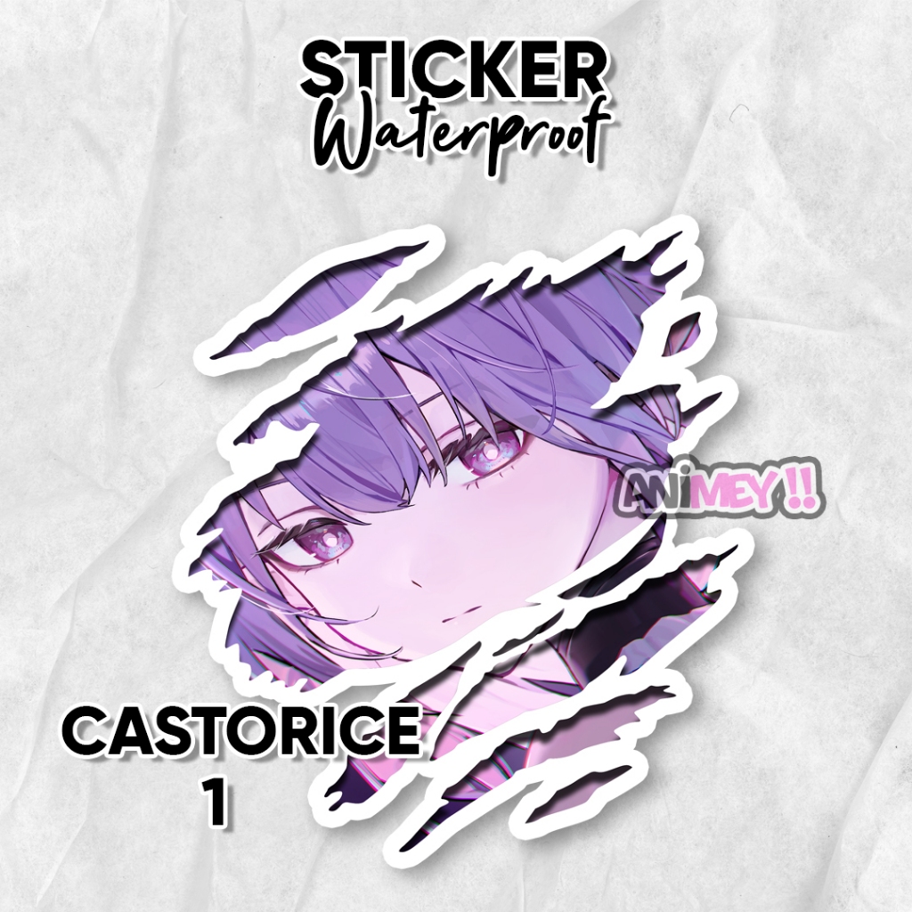 Scratch Castor Honkai Star Rail Sticker / Waterproof Anime Sticker ...