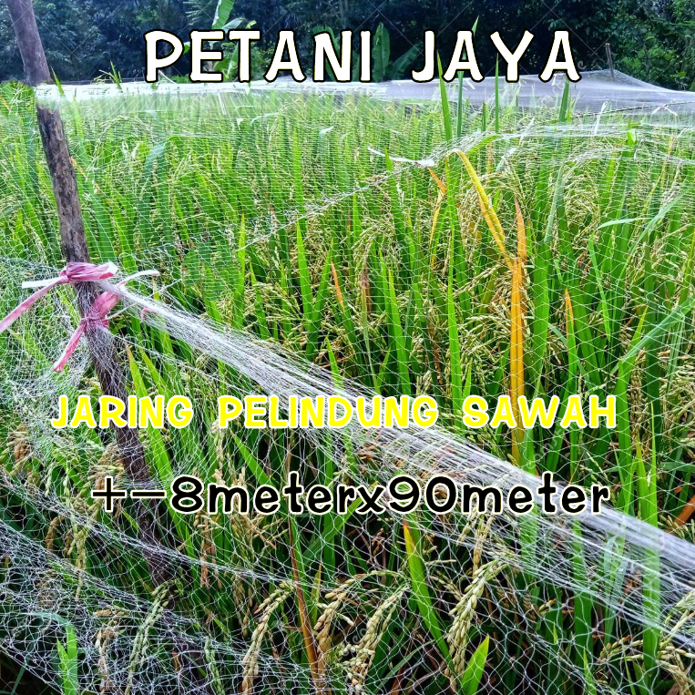 HITAM String RICE FIELD NET 0.12 BIRD SPINNING AND EMPRIT NET BLACK ...