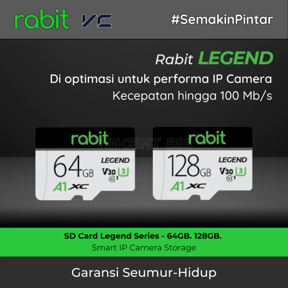 MicroSD RABIT Legend 64GB 128GB Memory Card A1 V30 Class 10 Micro SD ...