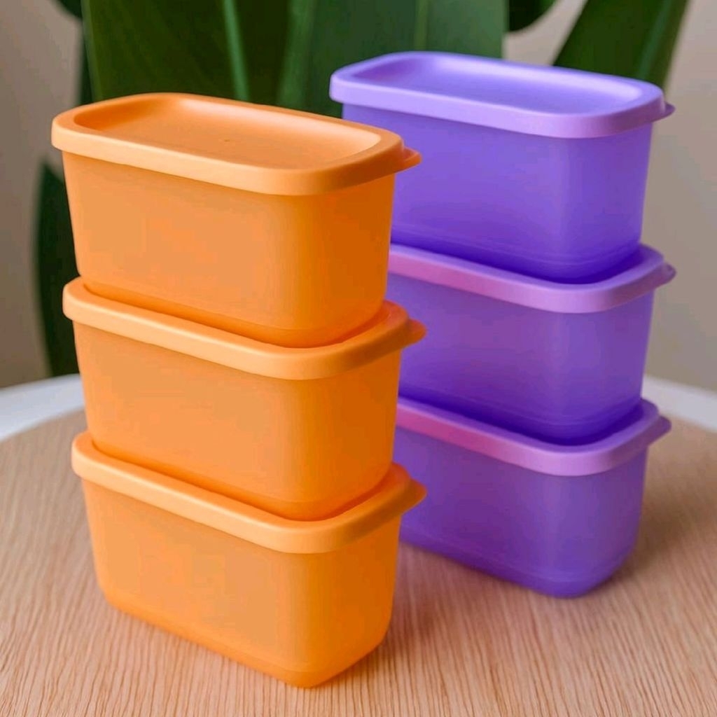 Tupperware Petit fiesta 250ml rectangular mini cubicle/ | Shopee Malaysia