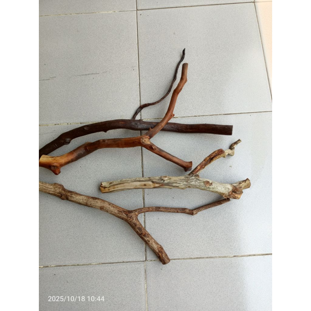 RANDOM wood twig aquarium decoration. Accessories. P.40cm | Shopee Malaysia
