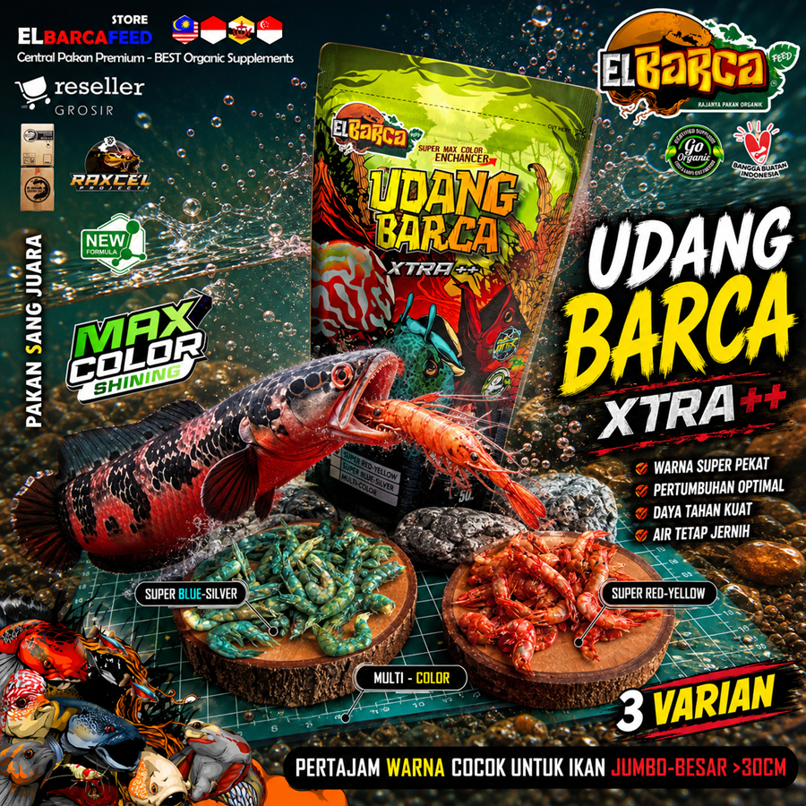 BARCA XTRA SHRIMP Dried Shrimp Large jumbo fish food 30cm up brightens ...
