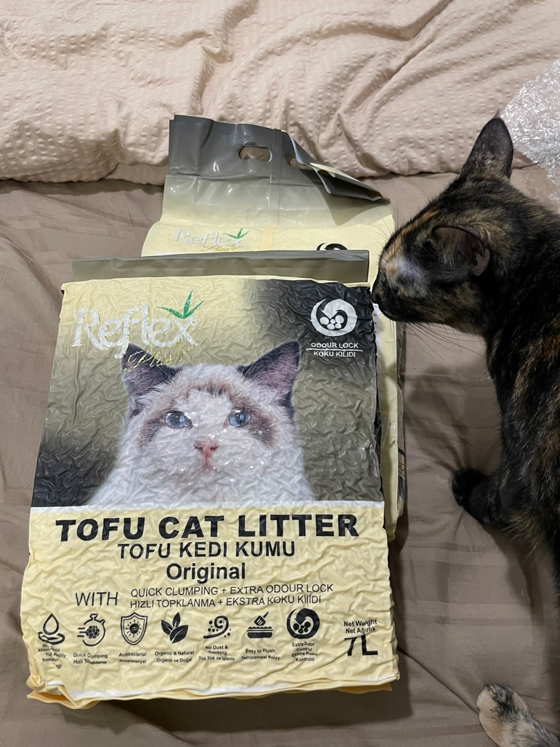 Tofu Cat Litter Ultimate Guide Pros Cons! v9306.1blu.de