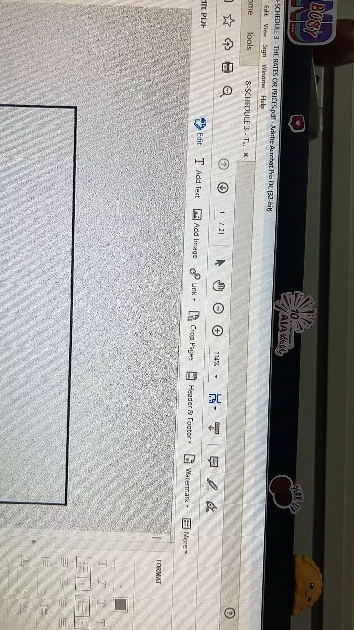 Adobe Acrobat Pro 2024 setup screen