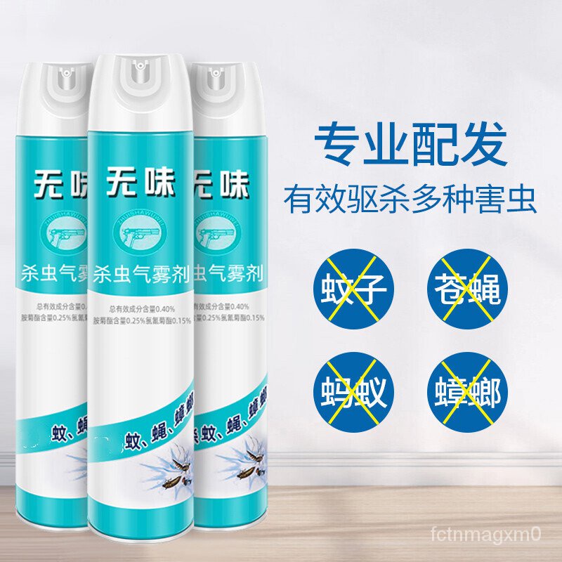 HotHand Insecticide Spray Gas Kill Mosquito Fly Insect Repellent Fly