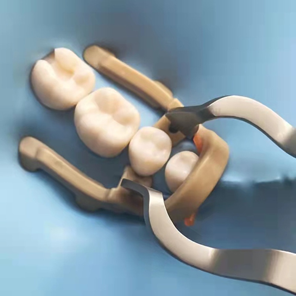 4Pcs/set Distal Extension Premolar Rubber Dental Dam Clamp Rubber