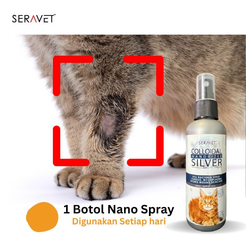 SET SPORO DAN KURAP KUCING DAN ANJING | Shopee Malaysia