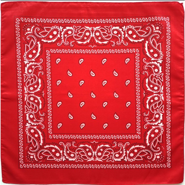 KFHENSOMR Lot De 6 Bandanas Multi-usages Aux Couleurs