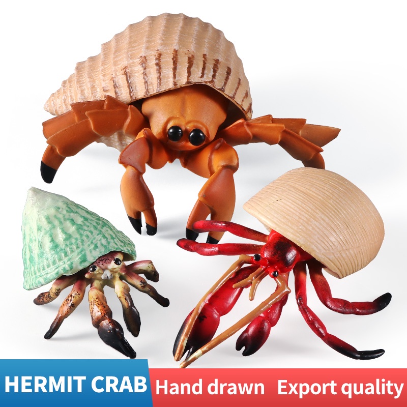 Solid Simulation Hermit Crab Marine Sea Animal PVC Model Desktop Decor ...