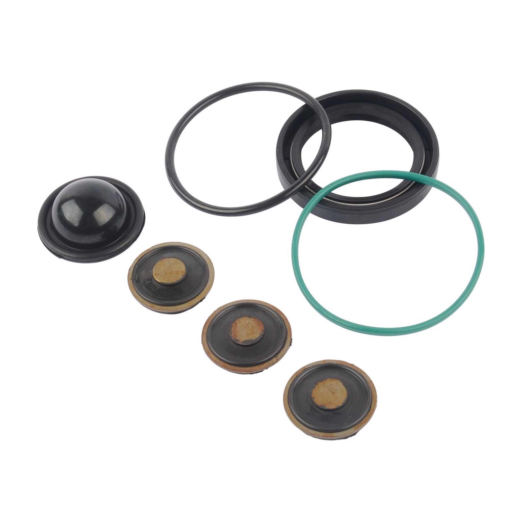 AP02 HIGH PRESSURE FUEL PUMP REPAIR KIT FOR OPEL PEUGEOT CITROEN Z22YH