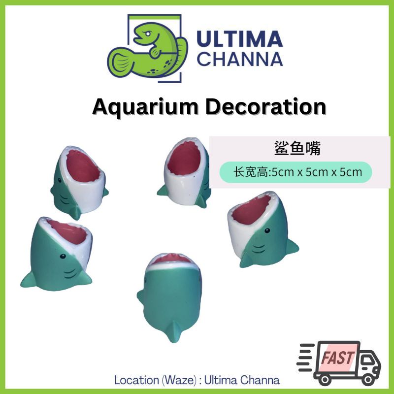 View of Super Cute Mini Shark aquarium decoration for your fish tank/ shrimp tank/ hiasan akuarium ...