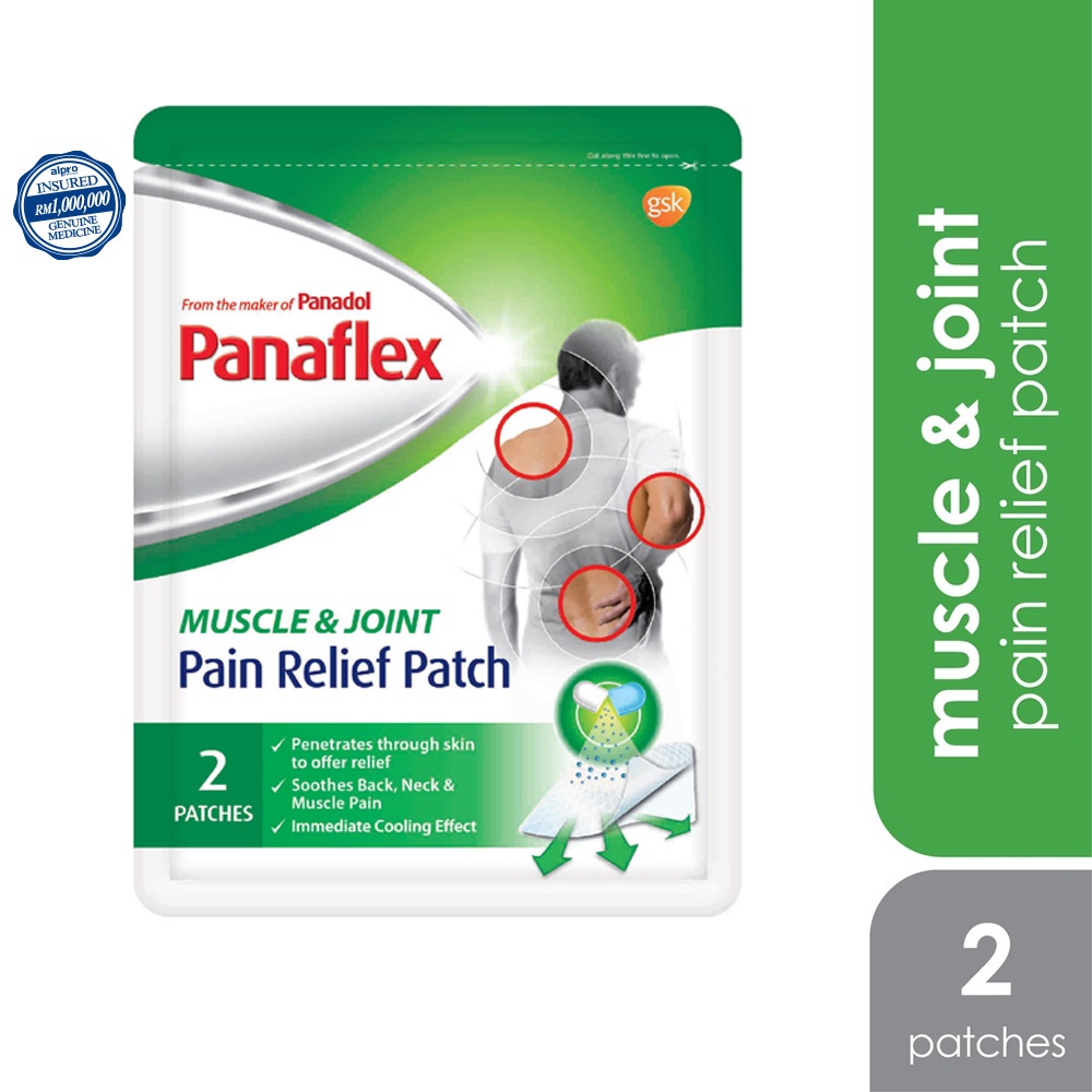 GSK Panaflex for Muscle & Joint Pain (2's) Shopee Malaysia