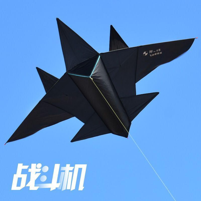 Black Fighter Kite Encyclopedia Airplane Kite 2023 Kite Line Reel Adult ...