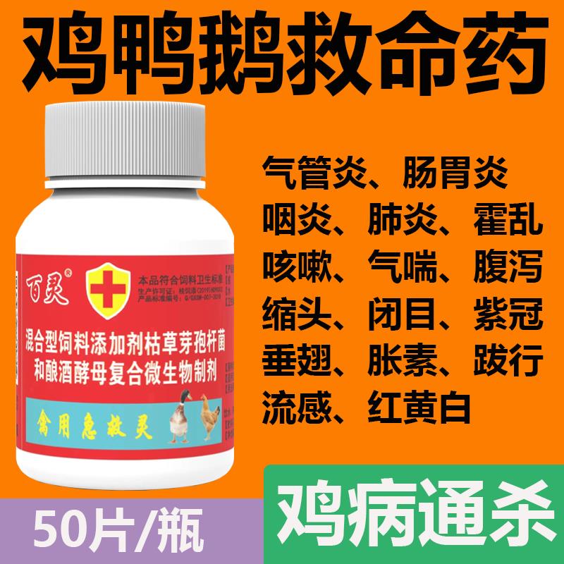 Old Brand Birds First Aid Tablets Chicken Medicines for Veterinary