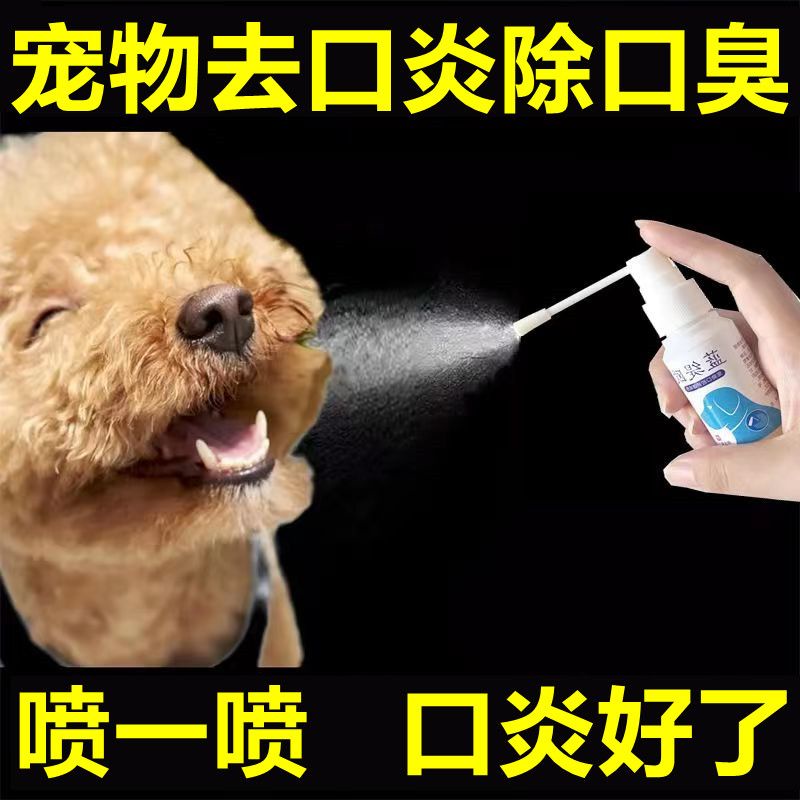 Dog and cat stomatitis spray cat drooling Stomatitis halitosis ...