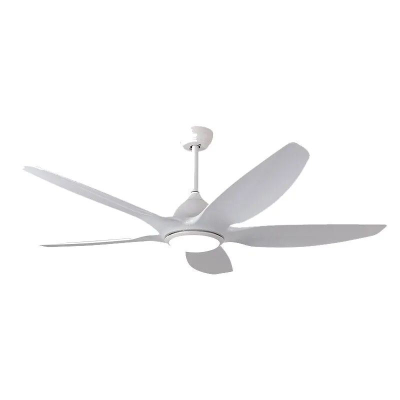 6 Speeds Large Fans With Light Led Frequency Conversion Remote Control ...
