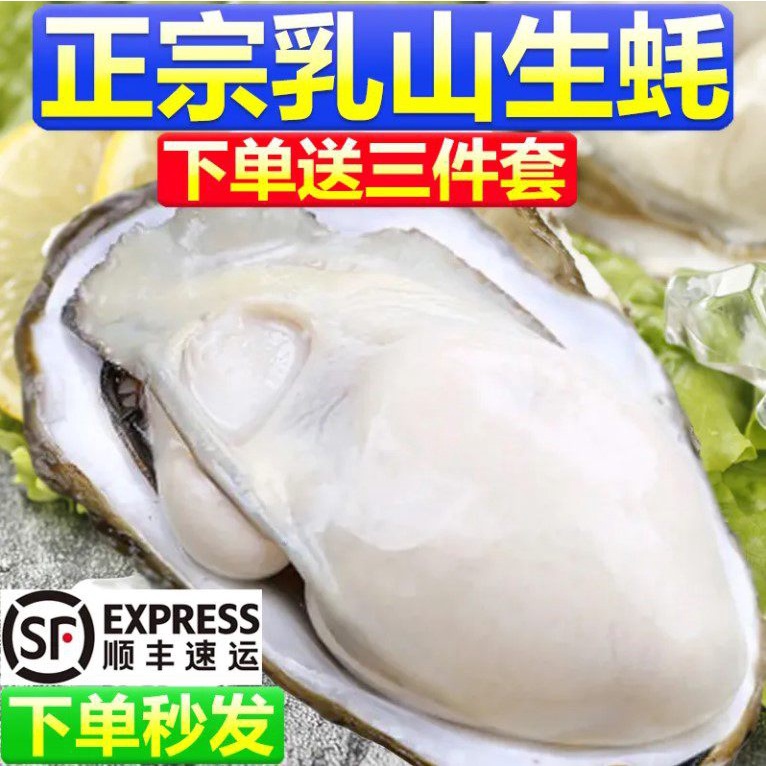 SF Free Shipping Rushan Oysters Fresh and Barbecue Fresh Oyster5Catty