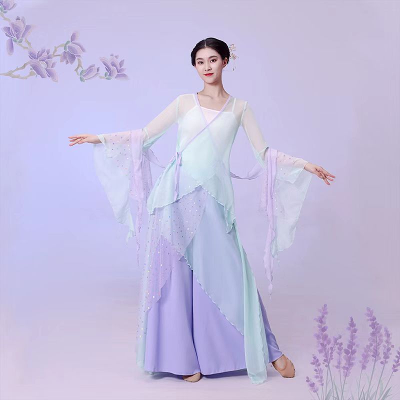 2023 Classical Dance Rhyme Classical Costume Chinese Dance Costume Art