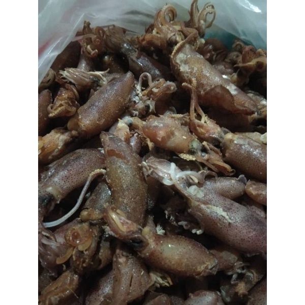 Sotong Cumi Kering 1kg Shopee Malaysia