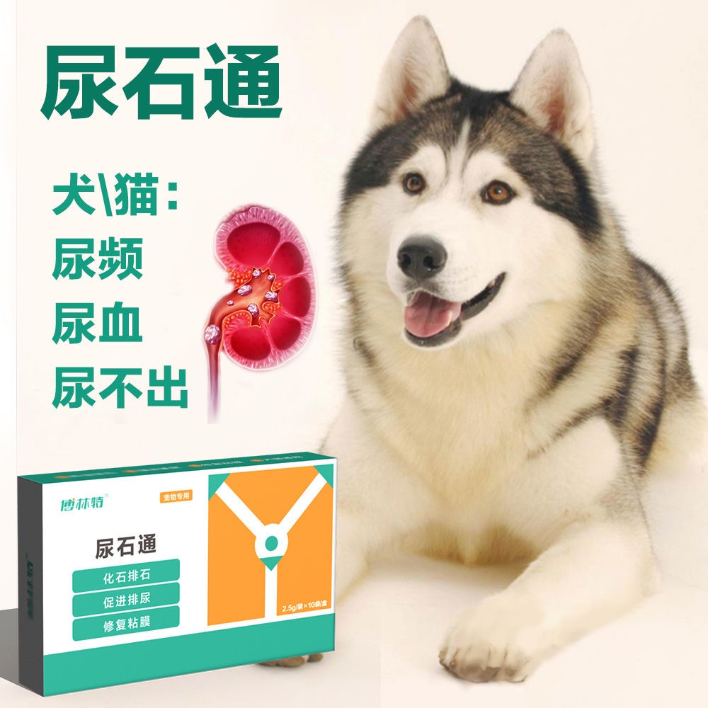 Thra cystitis frequent urination urine crystallization calculi is endl