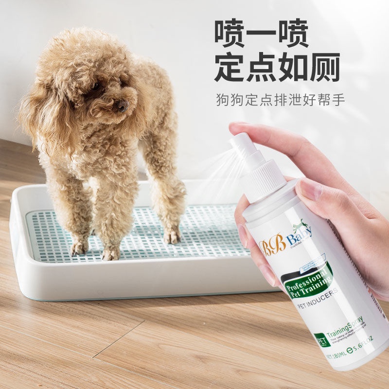 Targeted defecation inducer for dogs to use the restroom to pr dogs