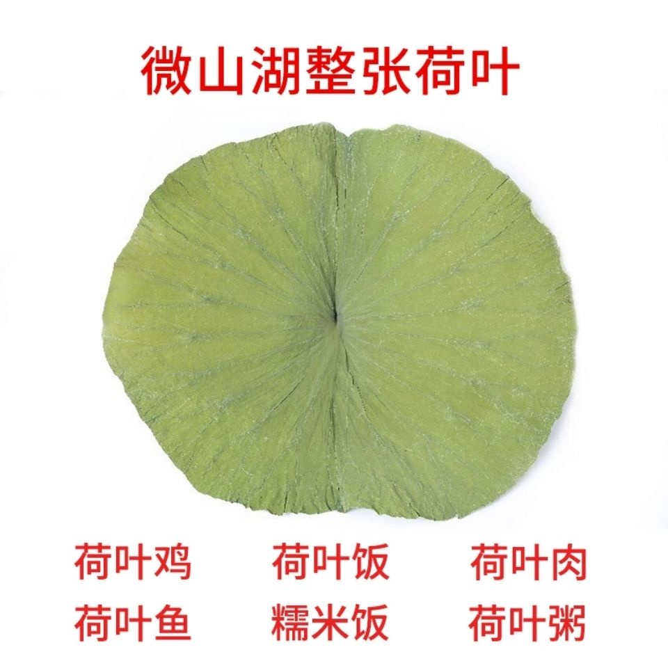 20 years new large whole weishan lake lotus leaf tianran zhang