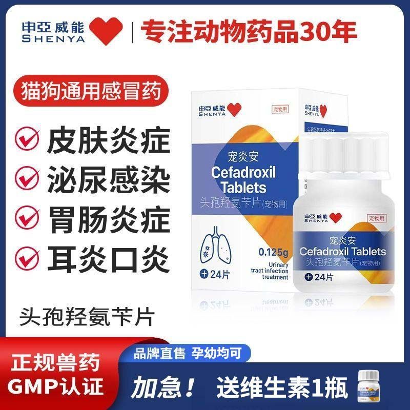 Dog Bleeding Gums AntiInflammatory Medicine Cat Appetite Does Not