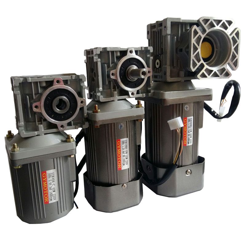 AC 220V 300W with RV40 worm gearbox ,Hightorque Constant speed worm