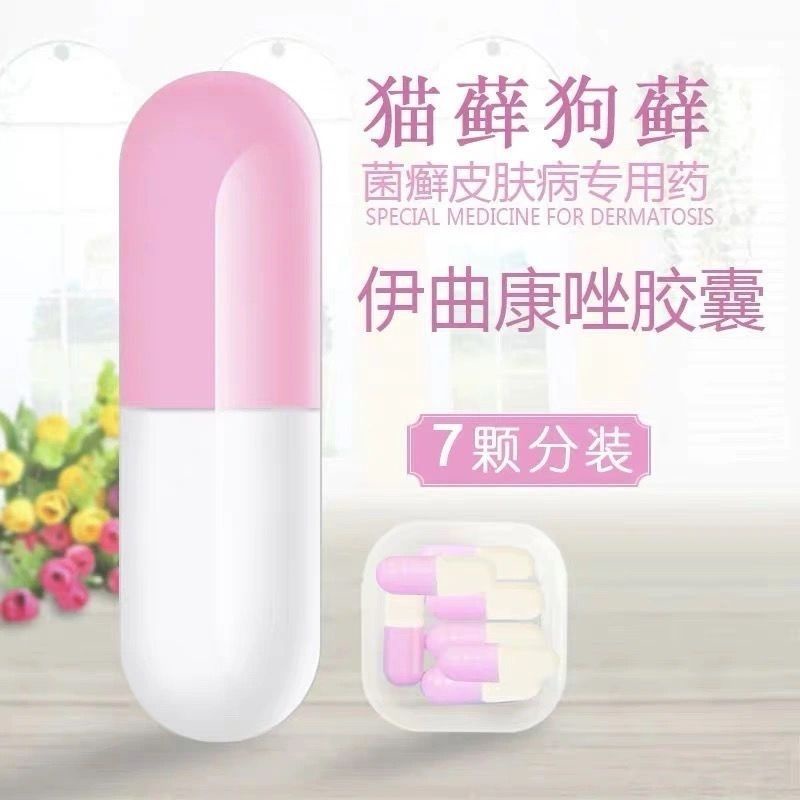 Cat tinea oral bacteria dog ringworm fungi mite effects Cat oral