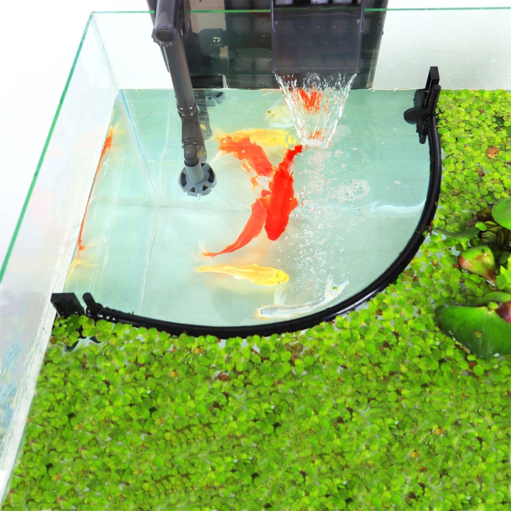 Fish Tank Feeding Ring Aquarium Fish Feeder Small Medium Fish Feeding