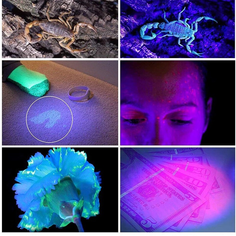 UV Flashlight Black Light 51 LED 395 nM Ultraviolet Torch Blacklight Detector for Dry Pets Urine