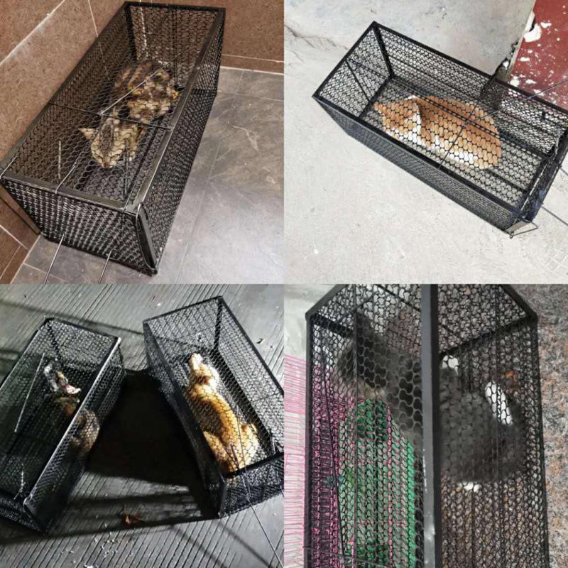 Full-Automatic Cat Trap Cat Catcher Catcher Catcher Catcher Cage