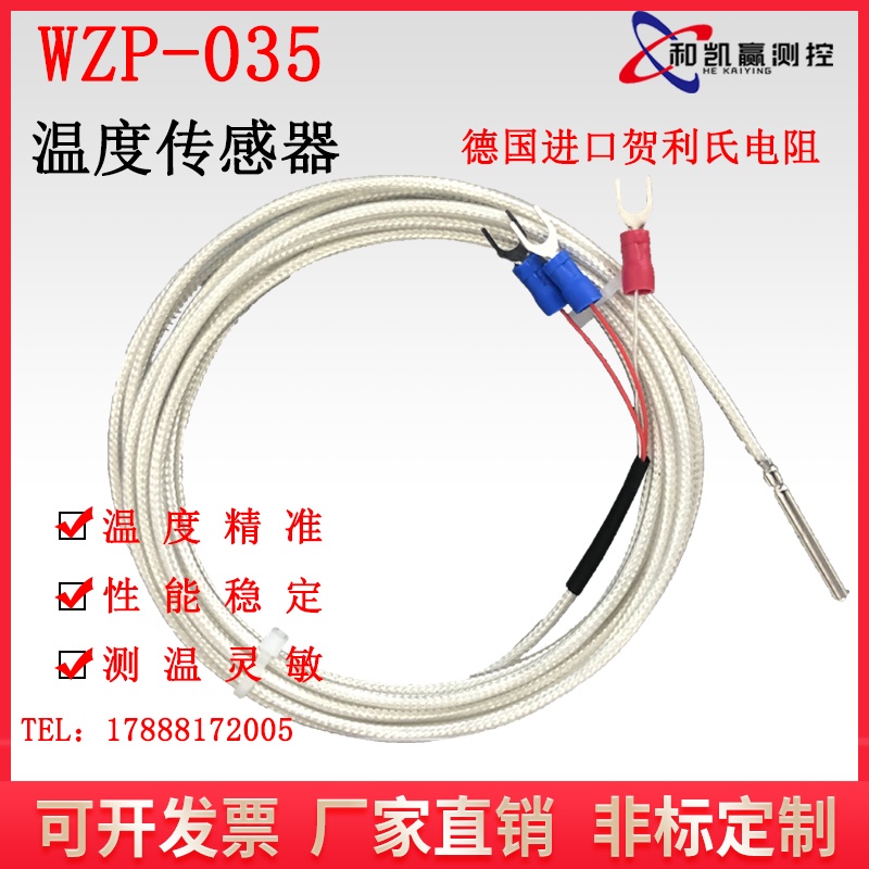 Wzp-035 High Precision Platinum Thermal Resistance PT100 Waterproof ...