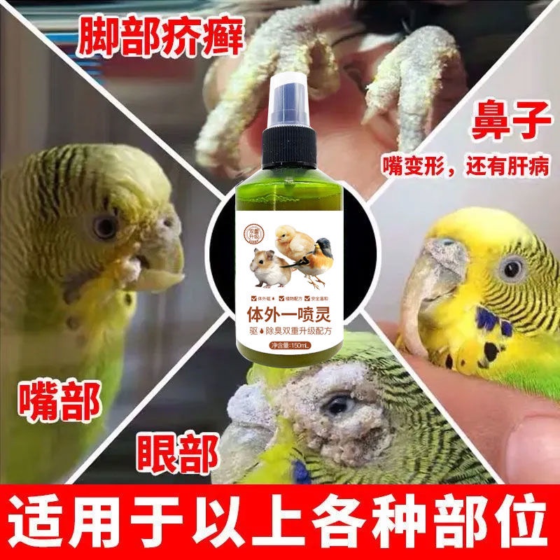 Bird skin disease medicine for cockatiels, scabies on mouth, Bird skin