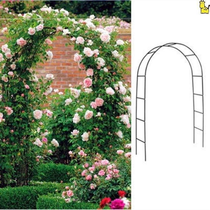 HY-6/Grape Rack Plant Climbing Clematis Blue Snowflake Chinese Rose ...