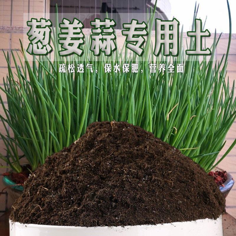 Special Soil for Onion, Ginger and Garlic Chives Nutrient Soil