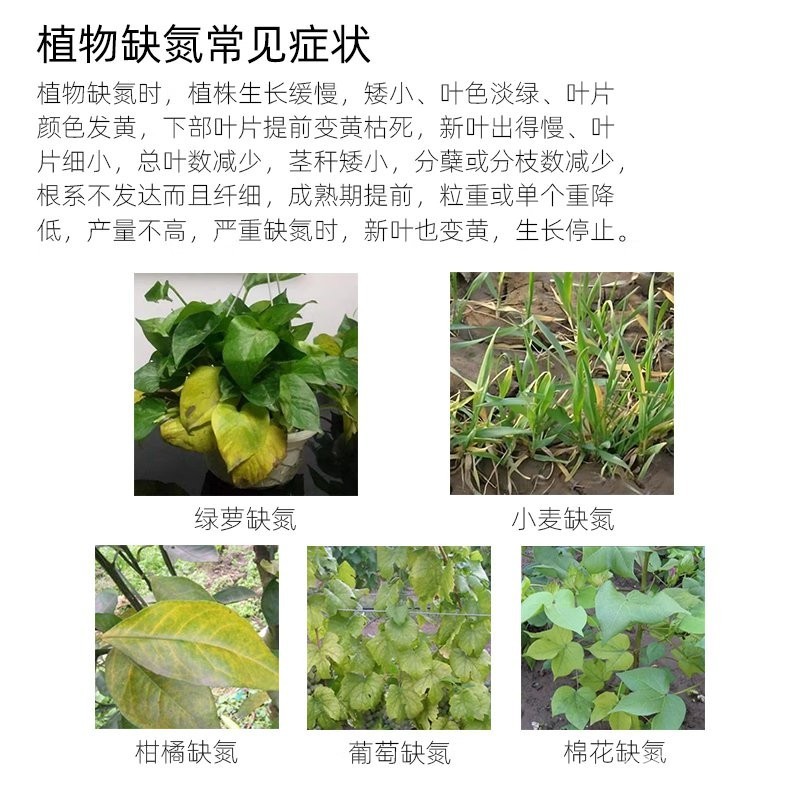 Quick-Acting Slow-Release Flower Cultivation Foliar Fertilizer Corn ...