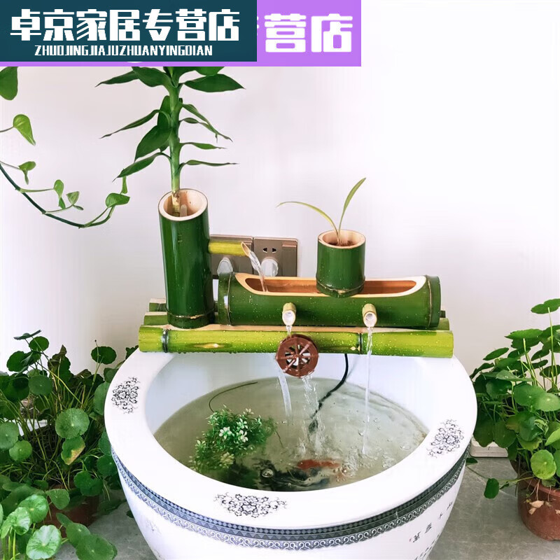 Stunning Improving Water Circulation In Goldfish Tank Decorations image